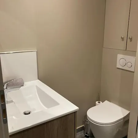 2 Pieces De 24m2 En Centre-ville